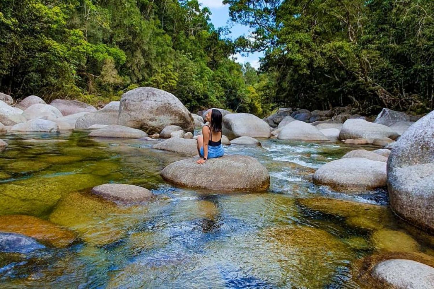 戴恩树雨林＆莫斯曼峡谷＆野生动物探索之旅