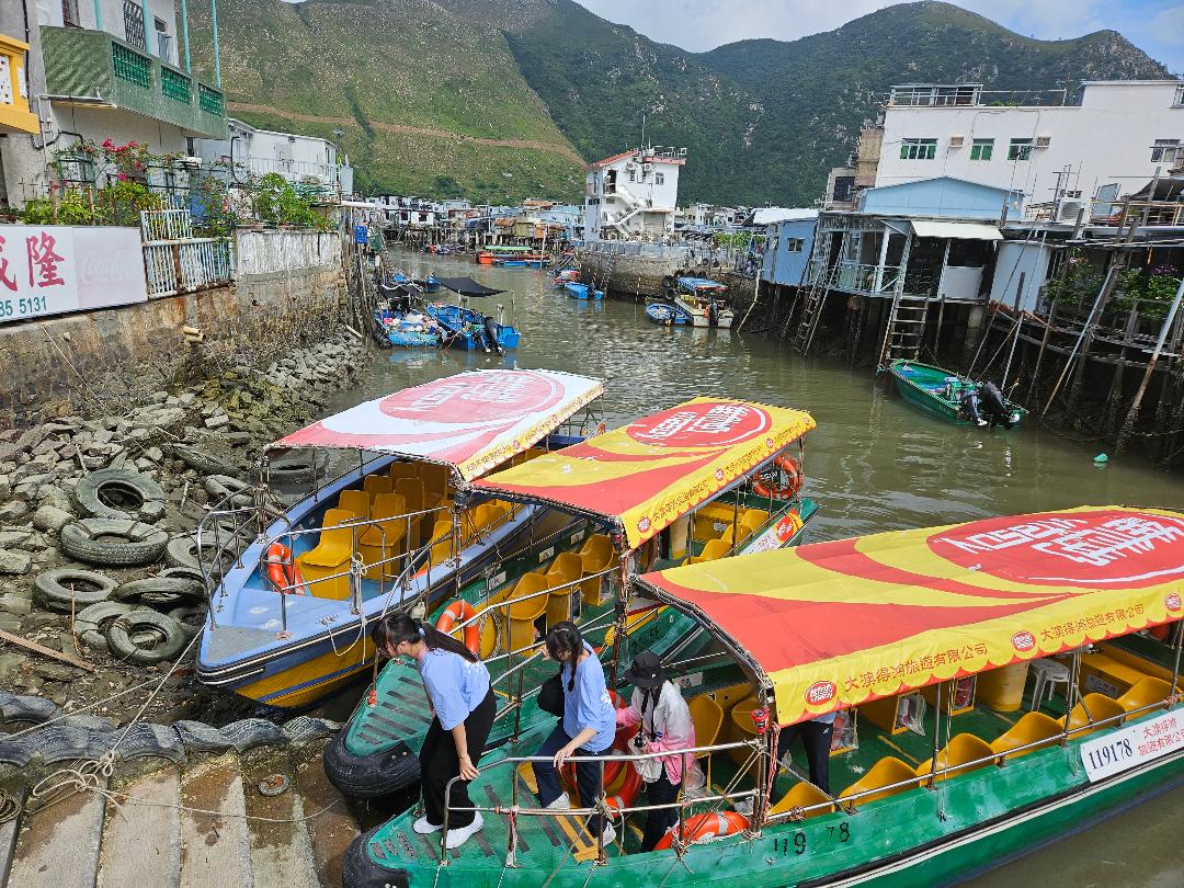 大澳观光小艇游船｜畅游红树林, 追寻中华白海豚, 欣赏港珠澳大桥｜20分钟游览大澳全景