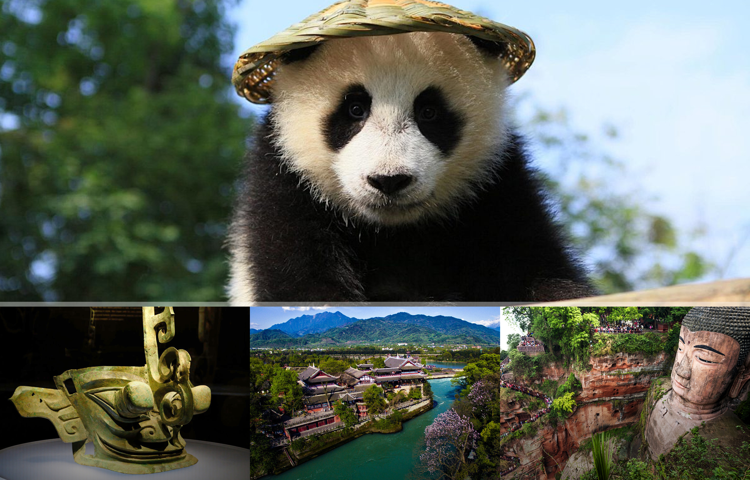 成都熊猫基地+三星堆博物馆/都江堰/乐山大佛一日包车游