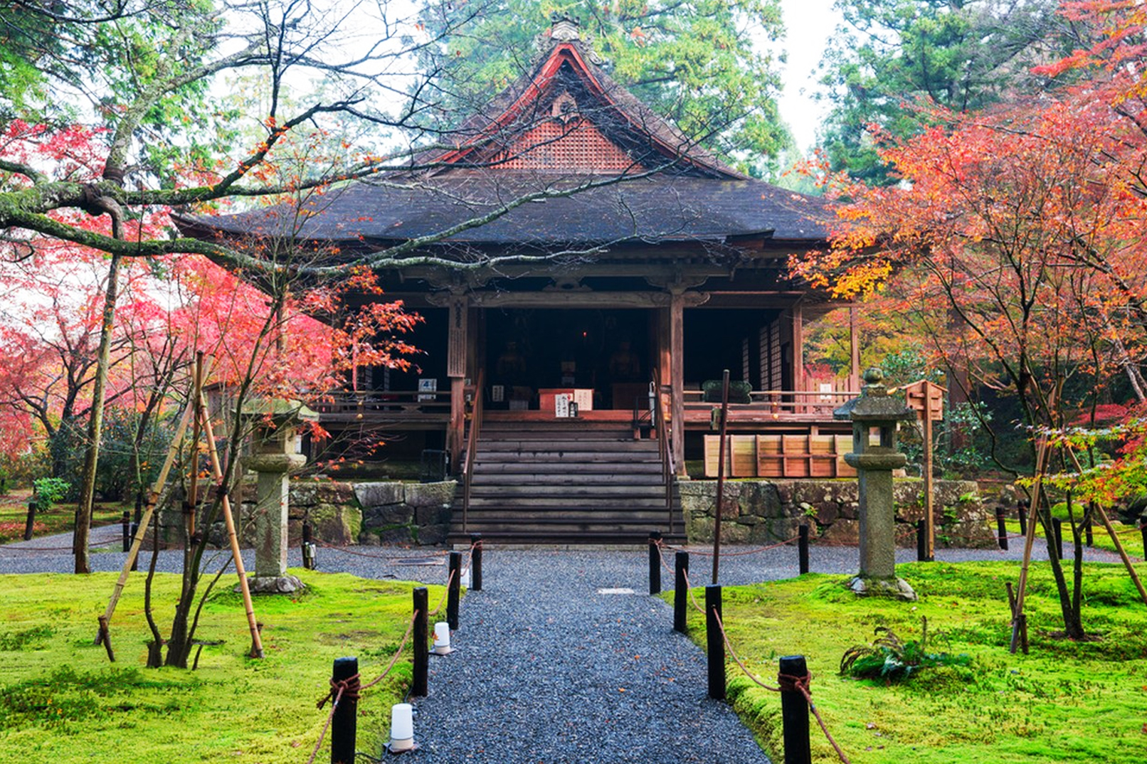 京都三千院&岚山小火车&嵯峨野竹林小径&岚山车站足汤温泉