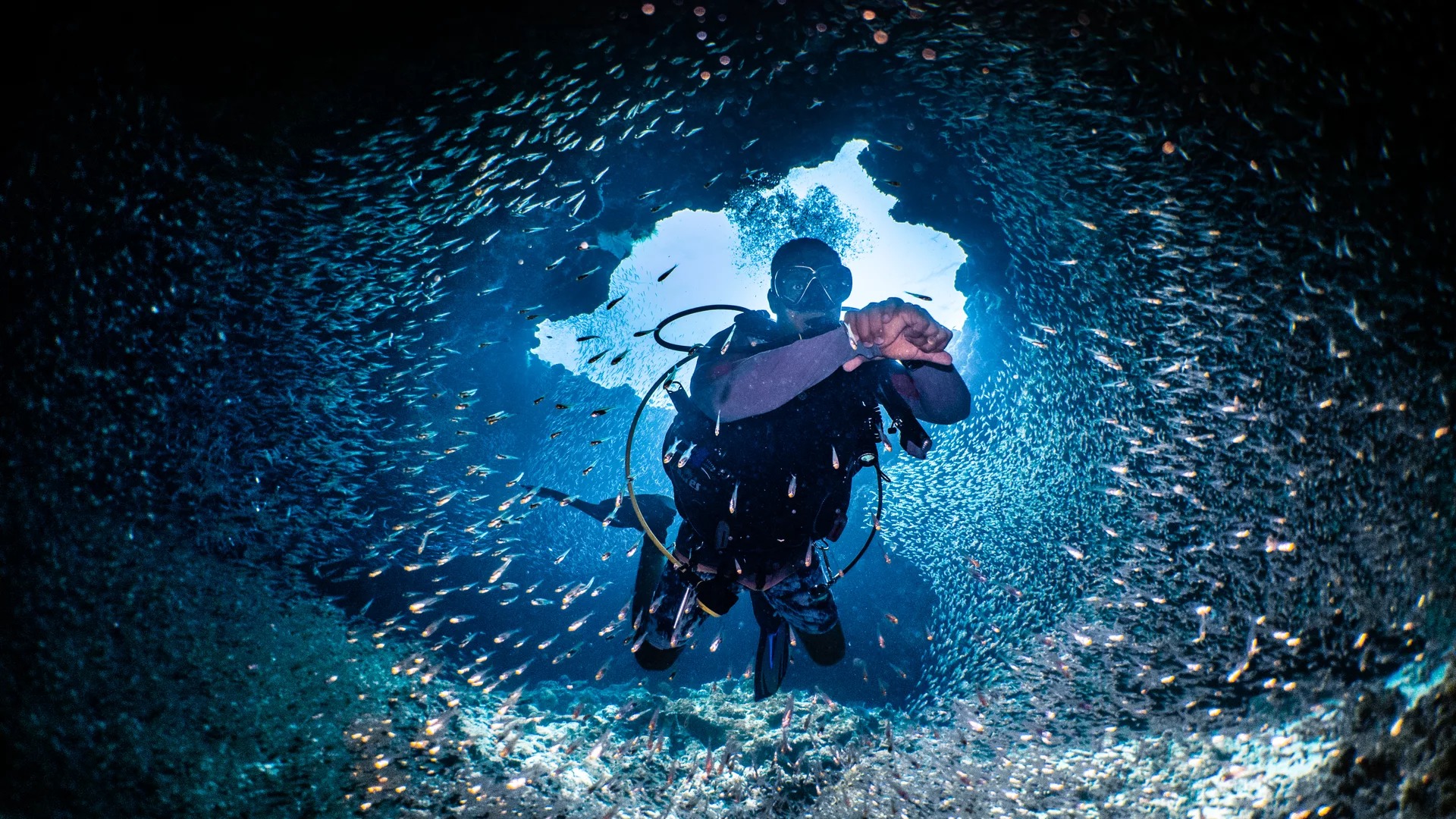 芭环礁卓越潜水：PADI 5* 中心的高级水肺课程