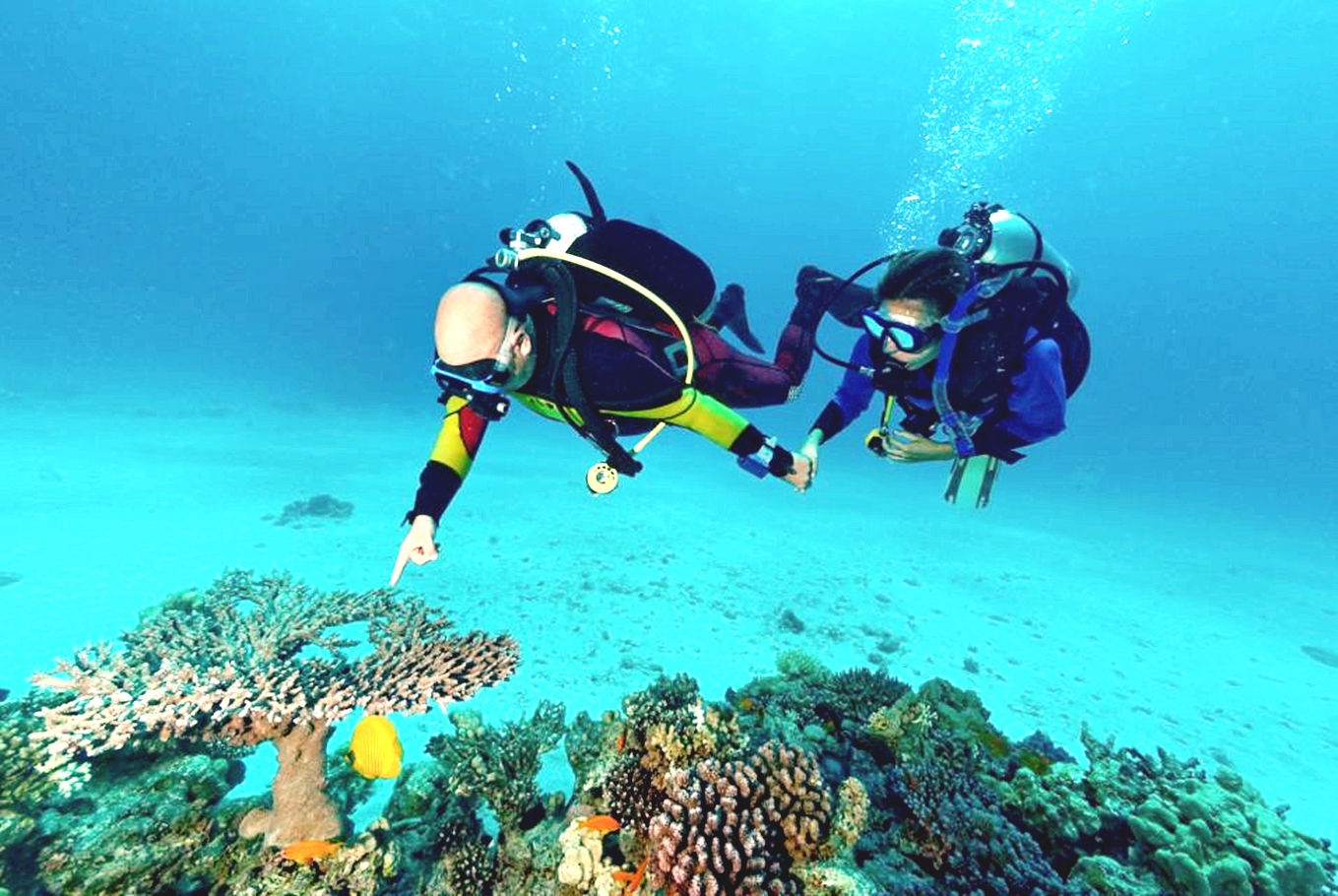 沙姆沙伊赫：拉斯穆罕默德潜水游船之旅（含私人接送）