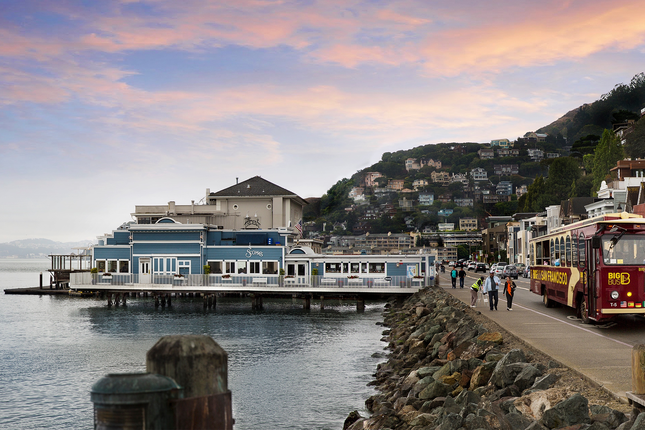 穆尔森林 & 索萨利托巴士之旅（旧金山出发）