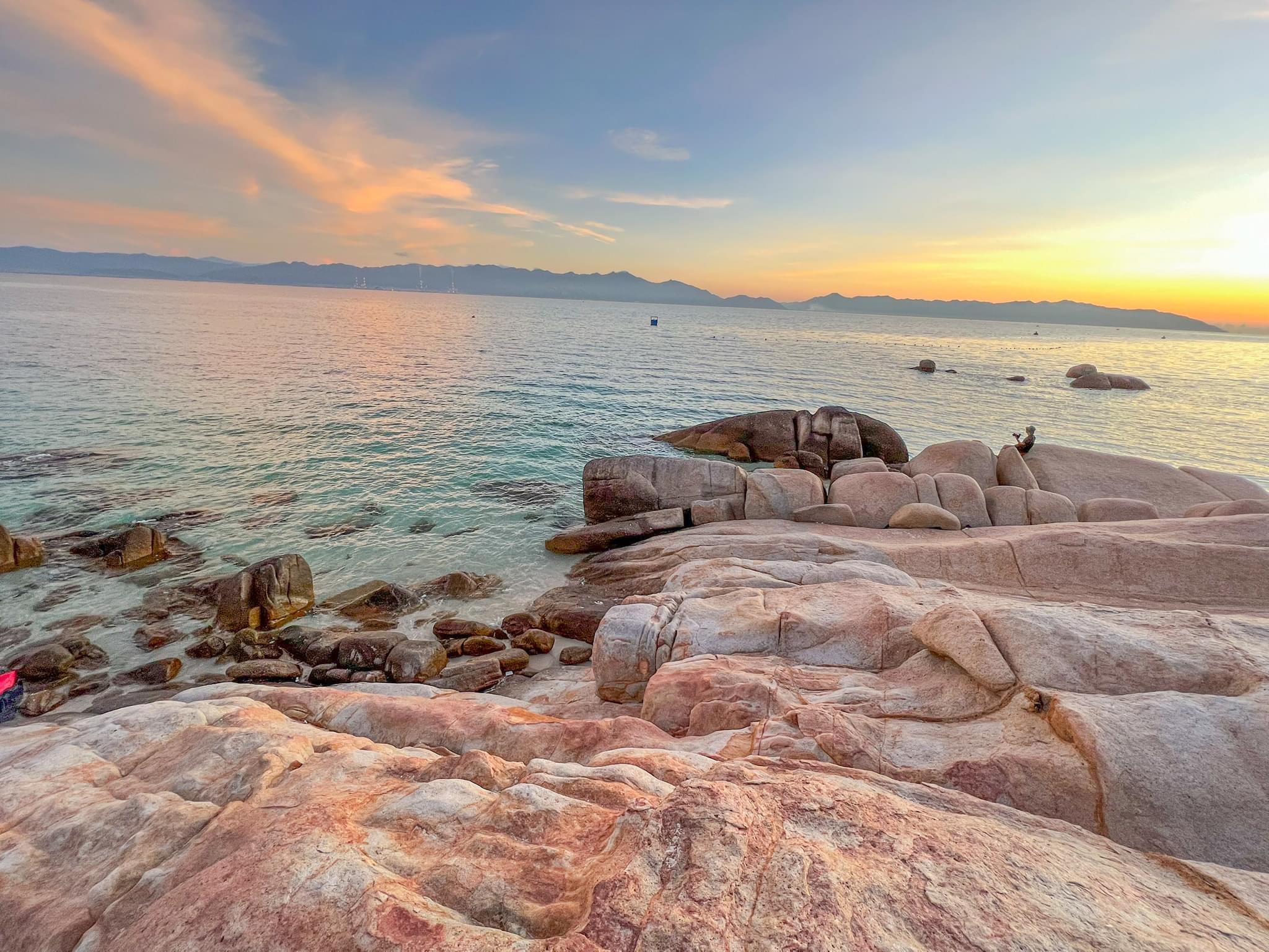 Cu Lao Cau岛 & 潜水赏珊瑚 & 葡萄园一日游
