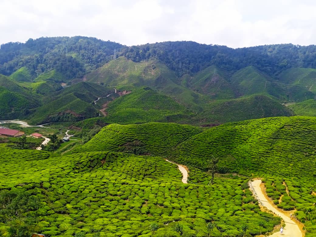 金马伦高原私人 / 拼团一日游（吉隆坡出发）
