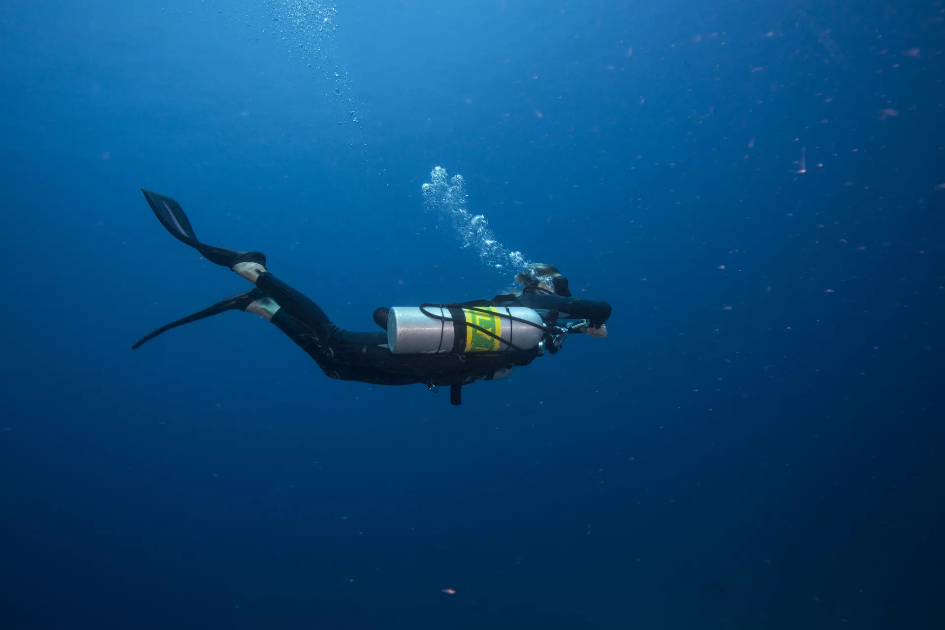 龙目岛长时间高氧潜水课（PADI五星级潜水度假村）