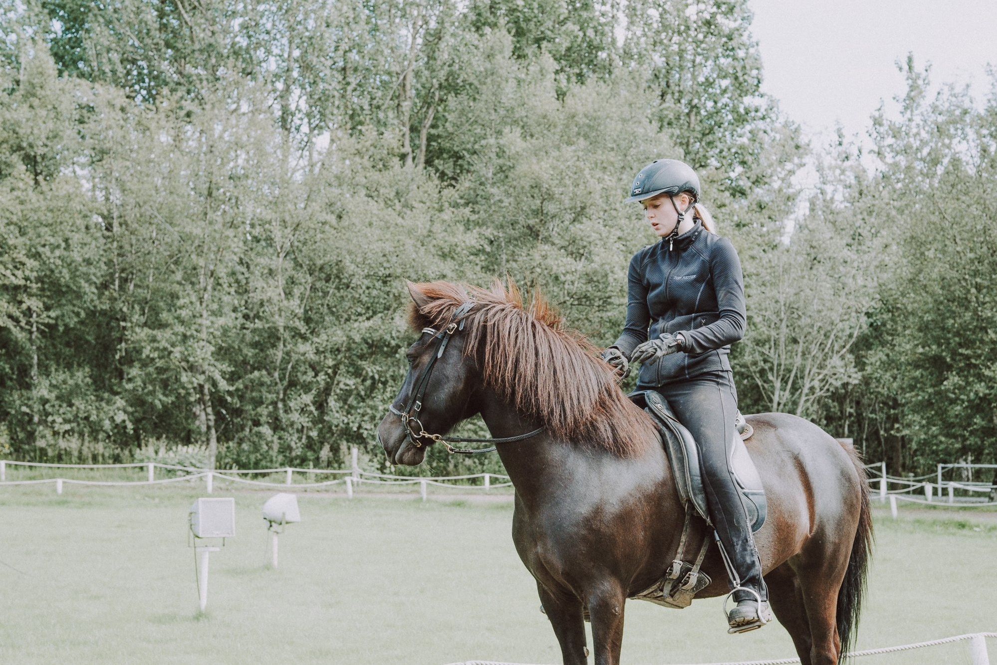 黄金圈＆Fridheimar 农场之旅（雷克雅维克出发）