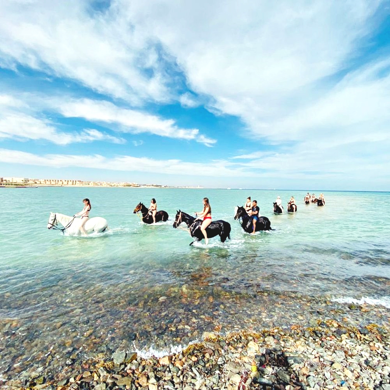 Horse Riding Hurghada - Egypt日落 & 沙漠半日游