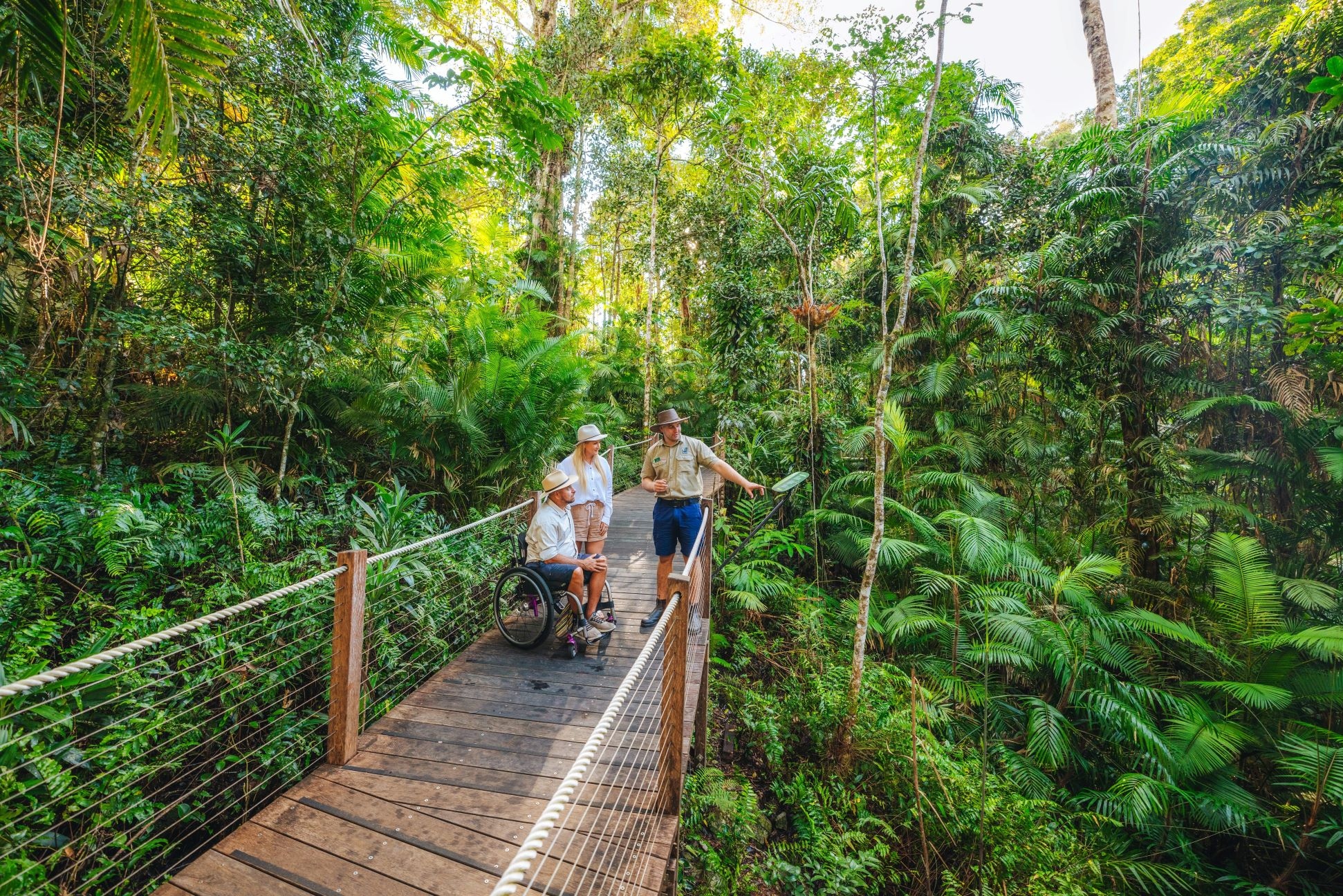 瀑布 & 湿地 & 空中缆车一日游（凯恩斯出发）