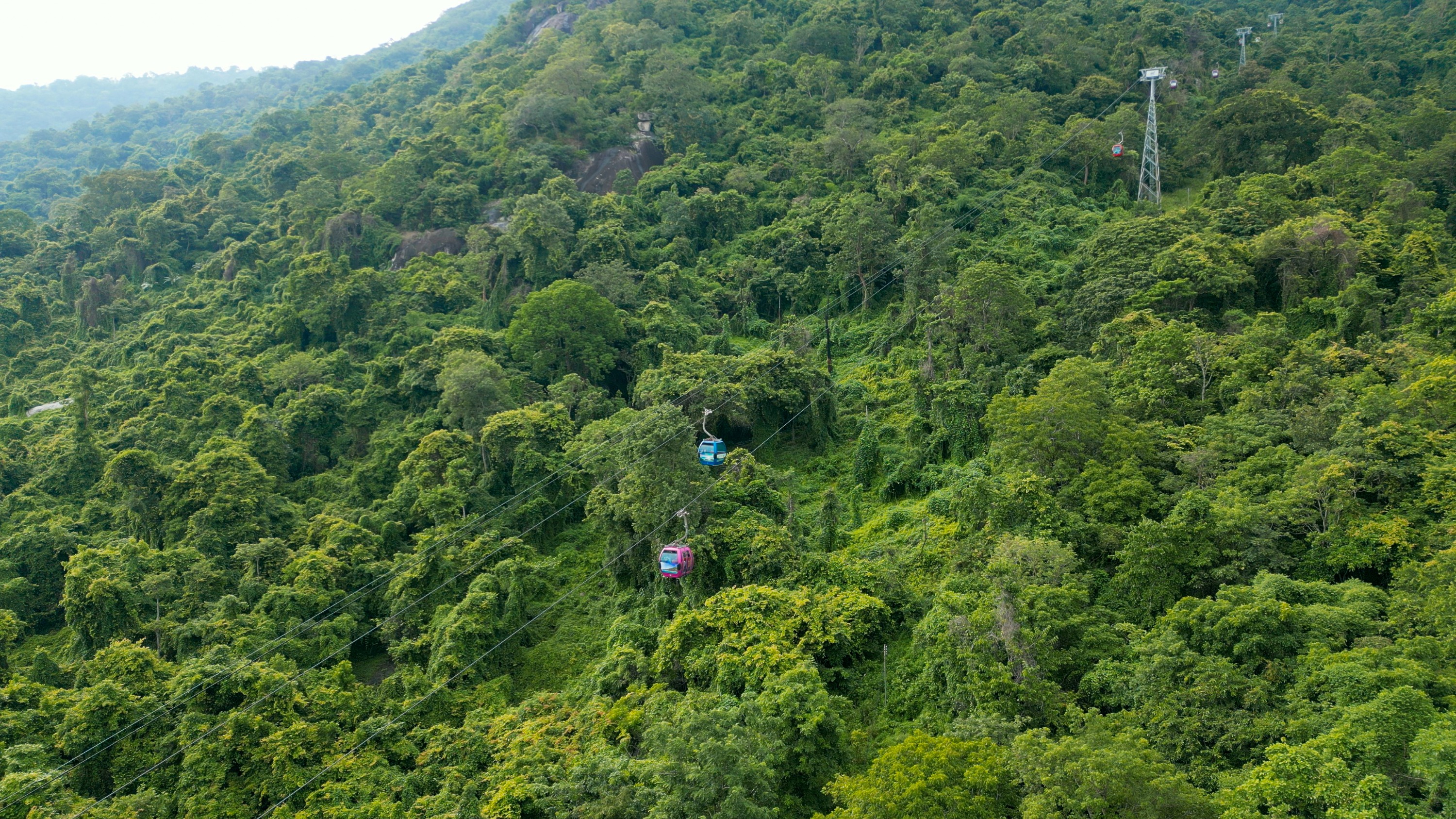 TTC World Ta Cu缆车票