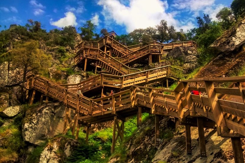 阿威罗 & 派瓦人行道 & 阿罗卡516吊桥