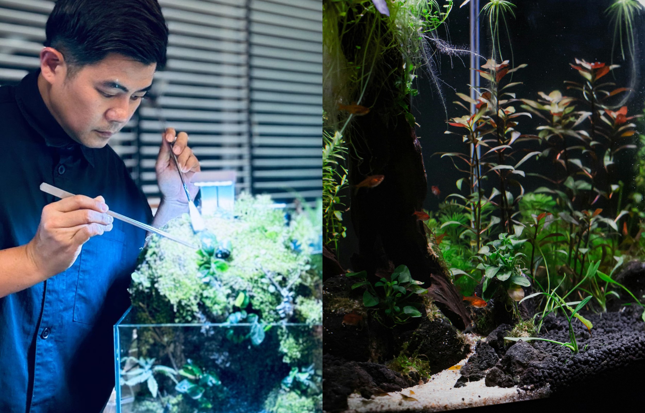 新加坡玻璃容器制作体验