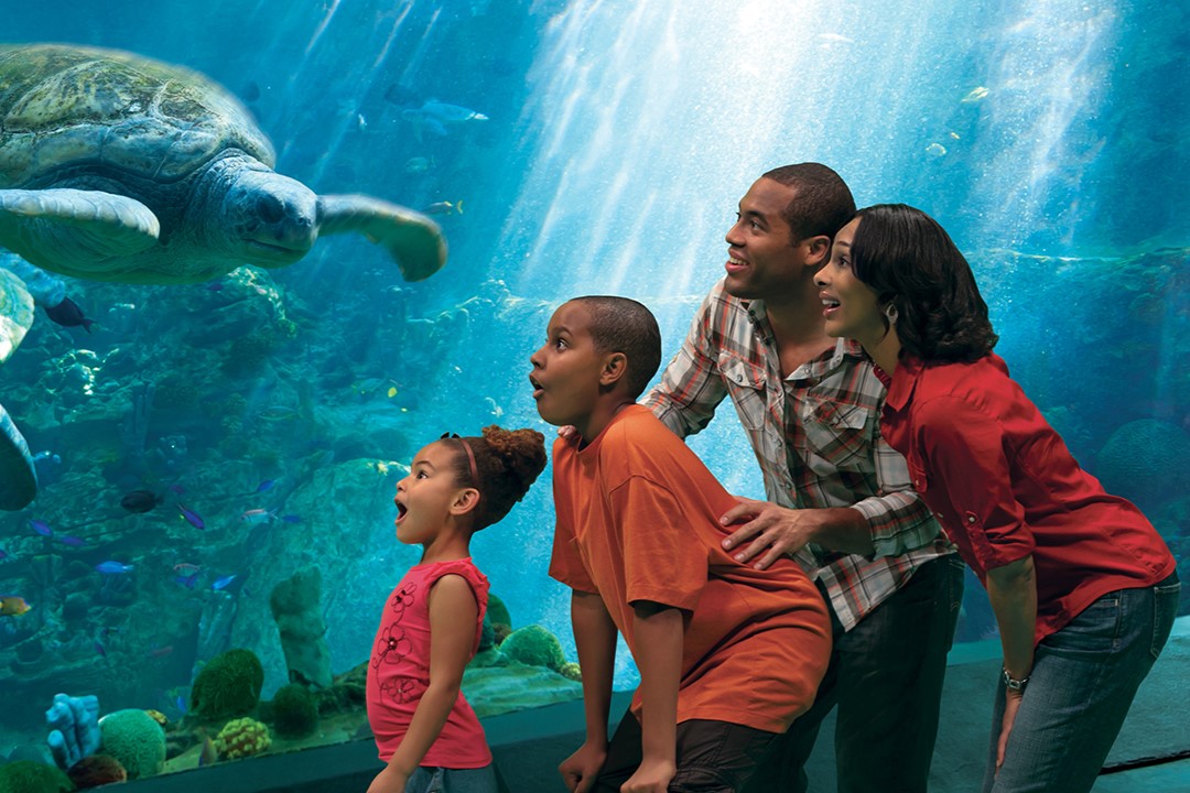 圣地亚哥海洋世界门票