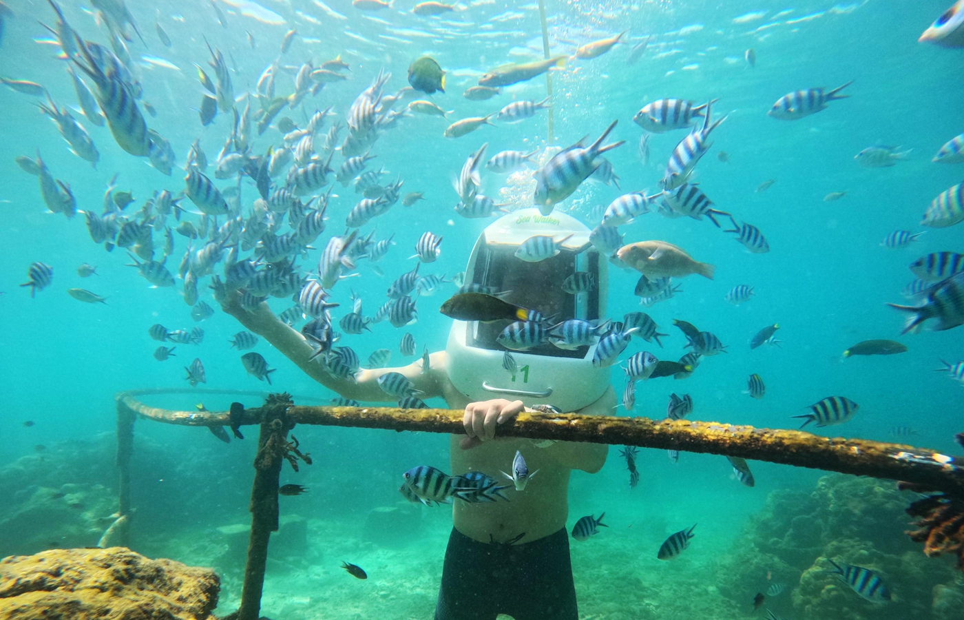 亚庇Seadoo Safari摩托艇 & 海底漫步体验