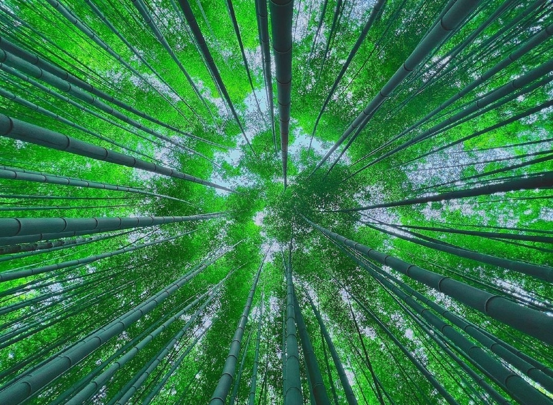 釜山秘境景点私人导览之旅（最多7人）