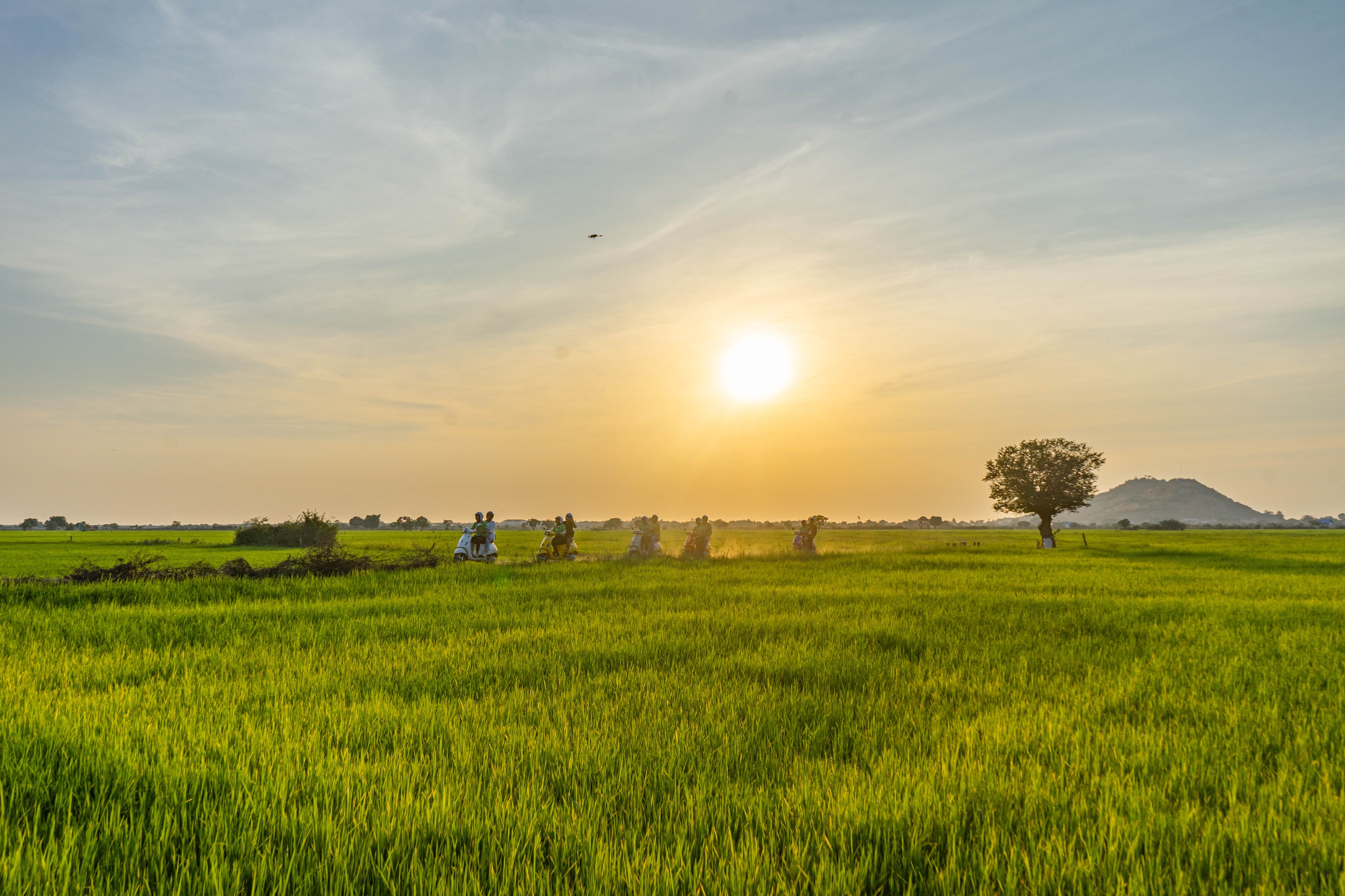 乡村日落 Vespa 之旅