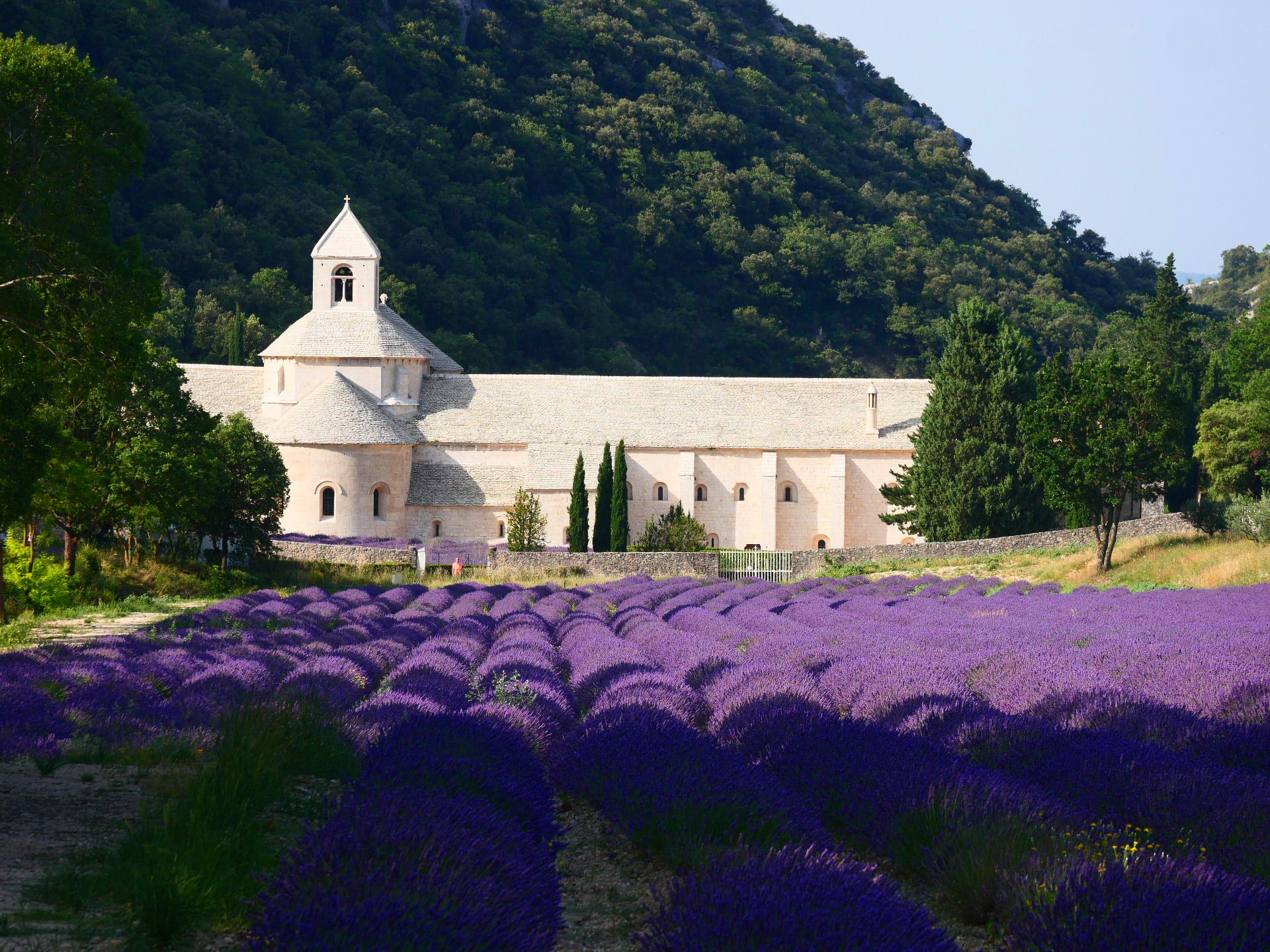 吕贝隆自然公园薰衣草探索之旅（当地人随行）