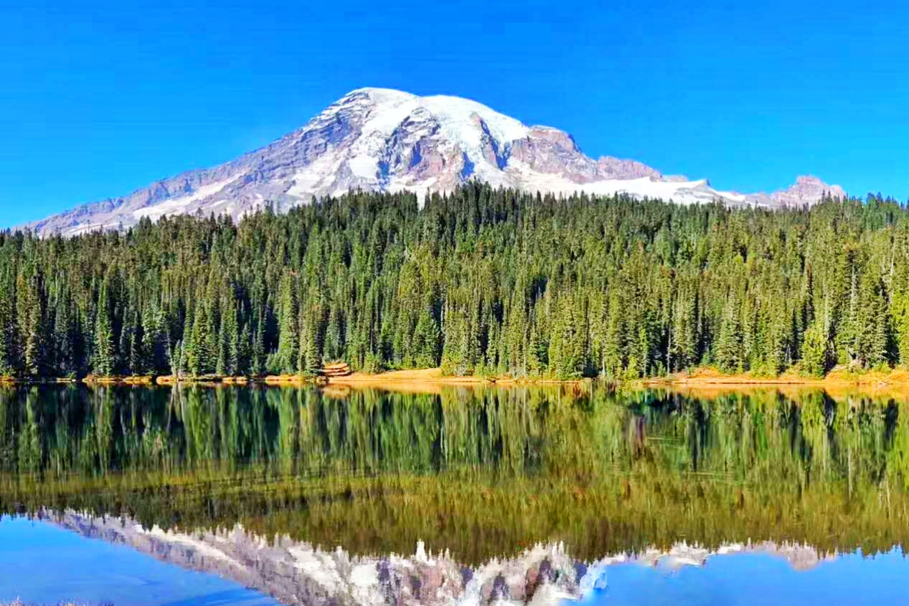 雷尼尔山国家公园一日游（西雅图出发）