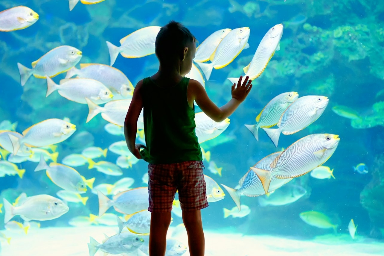 摩纳哥海洋博物馆门票