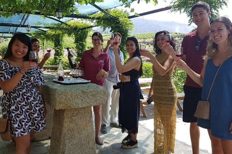 波尔图杜罗河谷葡萄园之旅（含午餐）