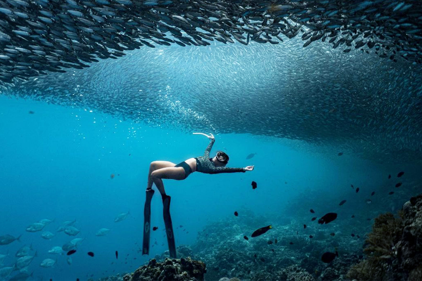 探索自由潜水：一日入门体验