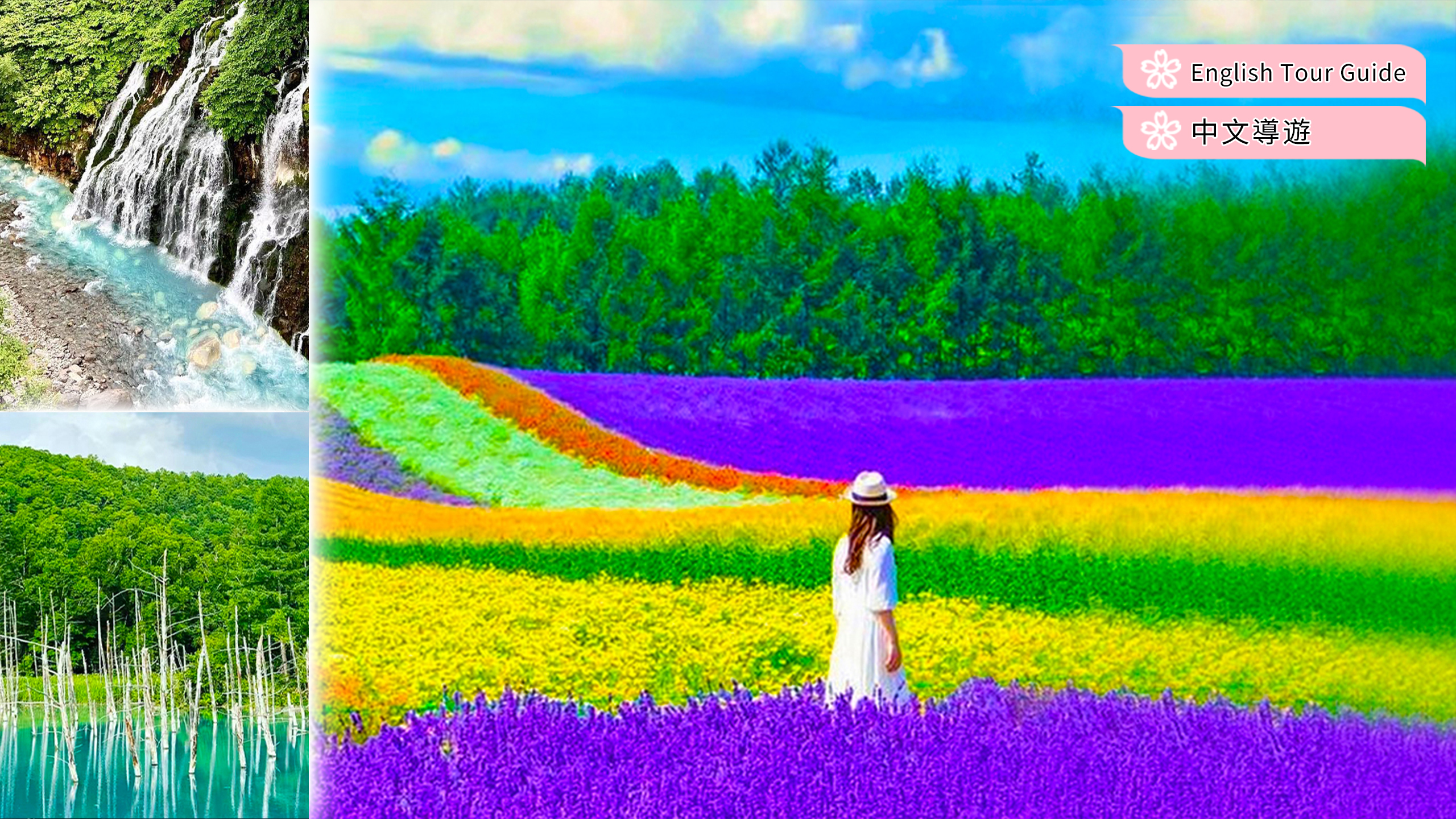 北海道春夏限定|富田农场&四季彩之丘&瀑布&青池一日游|札幌出发