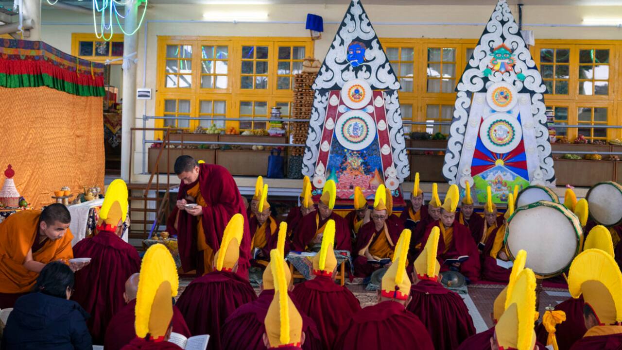 麦克罗德甘吉佛教文化导览步行之旅