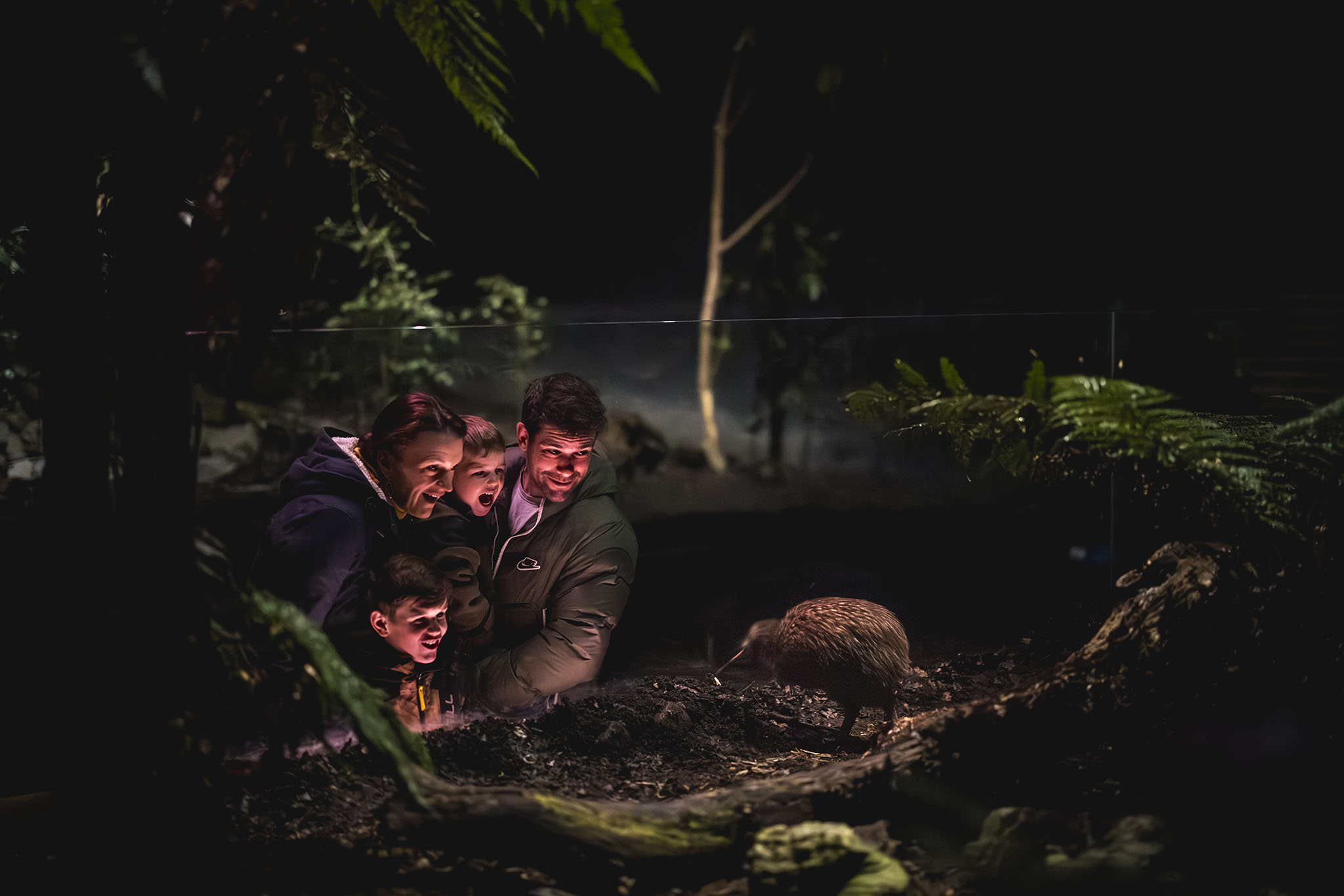 皇后镇奇异鸟生态公园门票