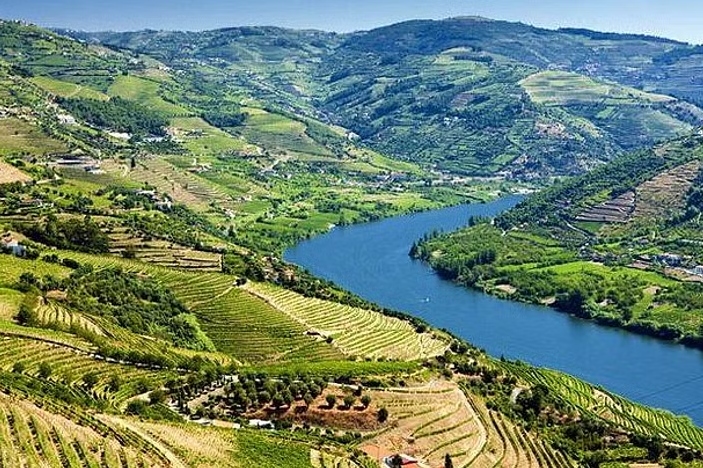 杜罗河谷葡萄酒之旅（含午餐＆游船体验）- 波多出发