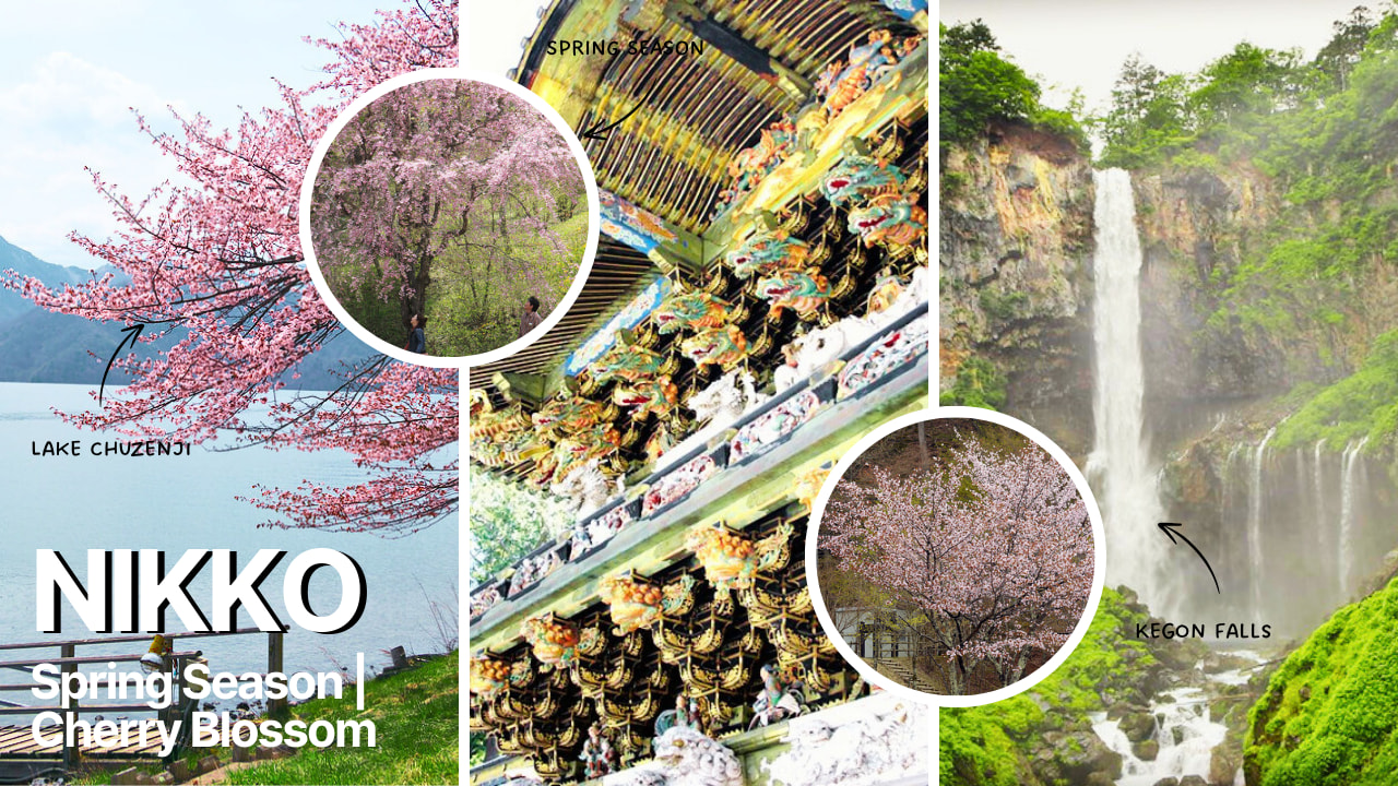 日光定制私人包车一日游（东京出发）