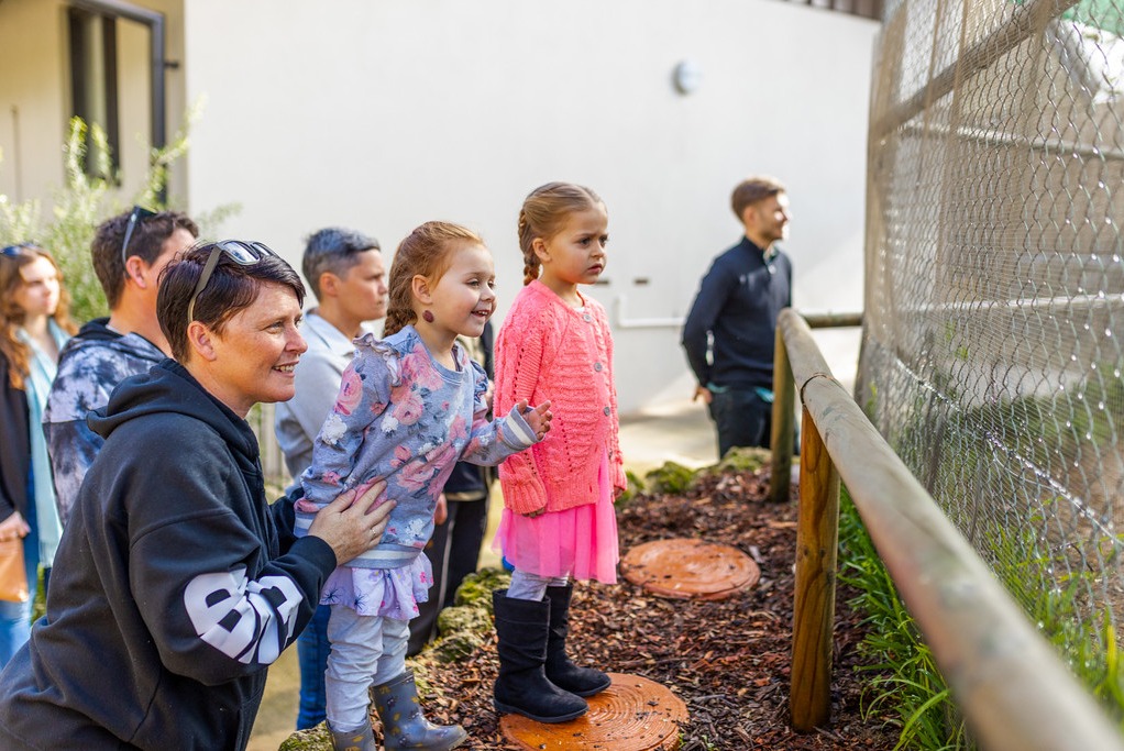 伯斯野生动物互动体验＆动物医院之旅
