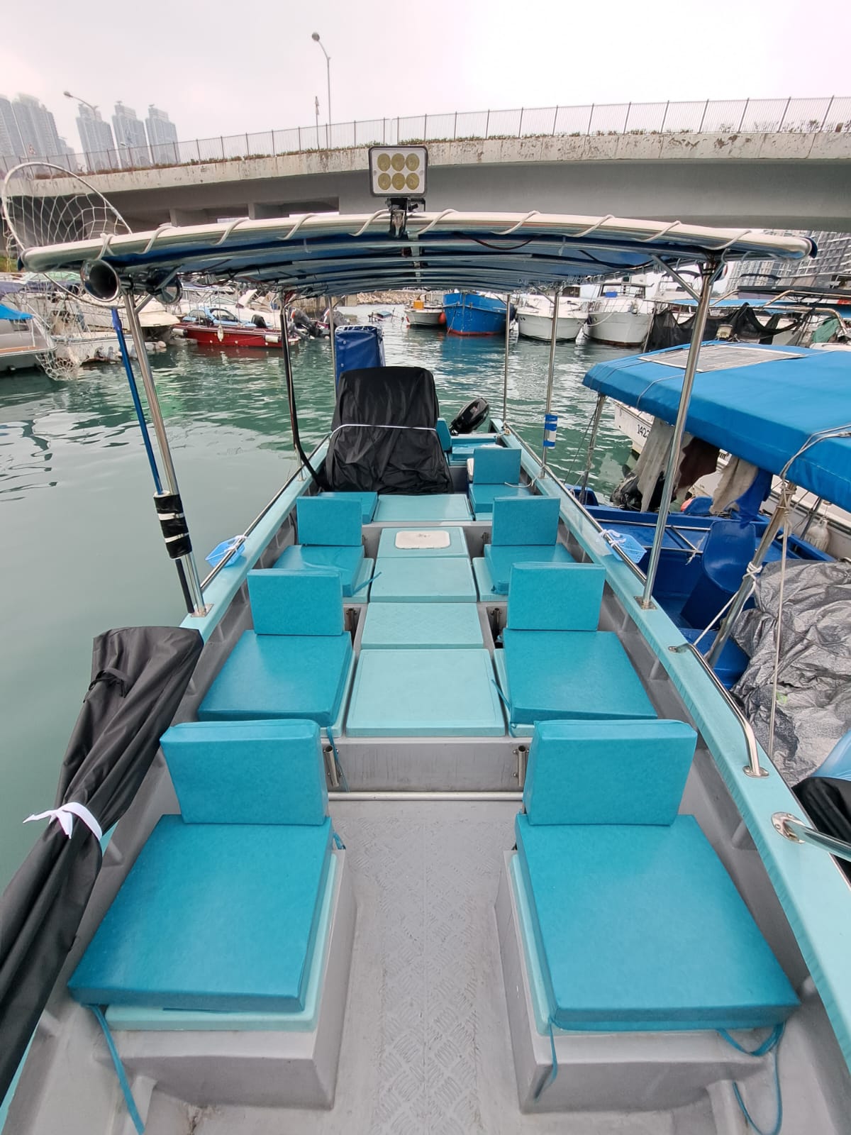 积仔记钓鱼乐 港水钓鱼团