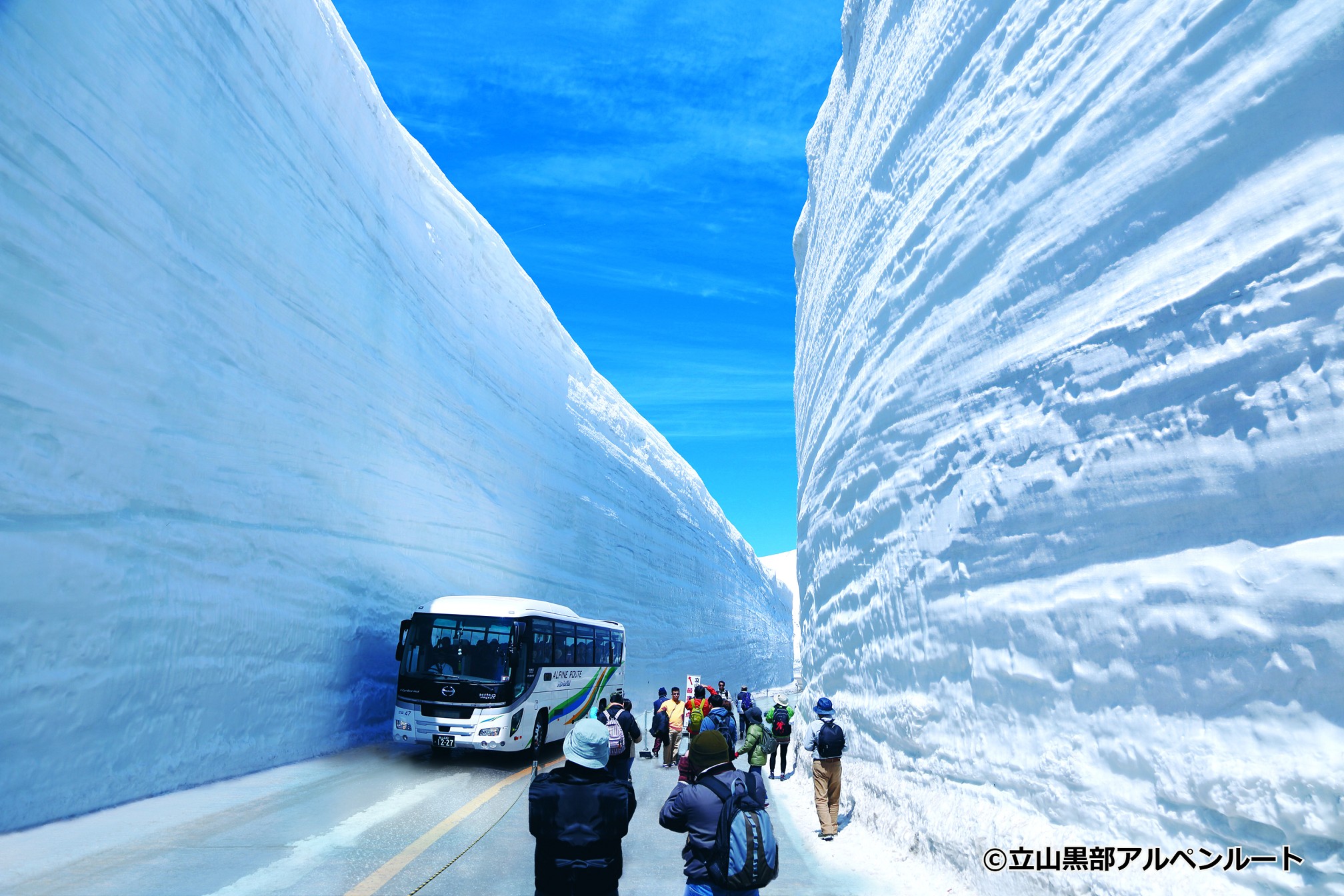 立山黑部阿尔卑斯山脉路线2天巴士探索之旅2025（大阪出发）