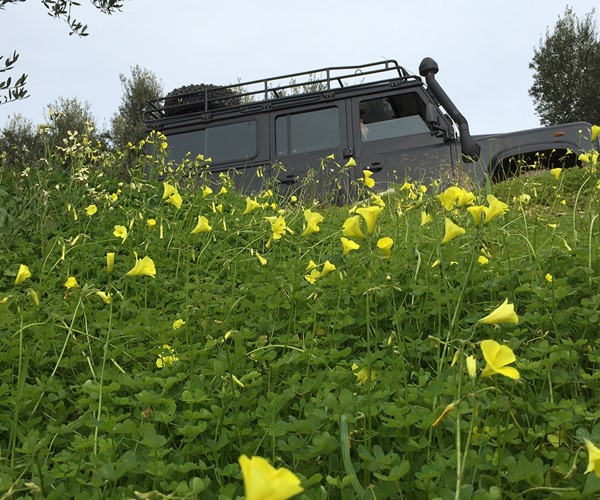 克里特岛探索葡萄酒 & 橄榄秘密之旅