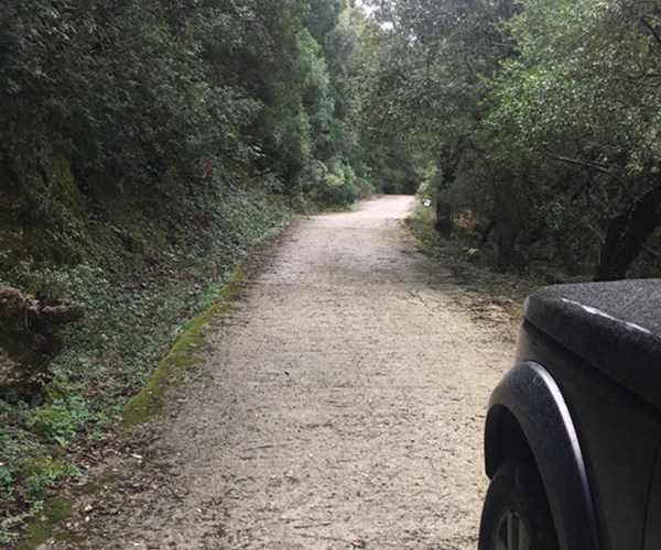 科孚岛南线探索之旅