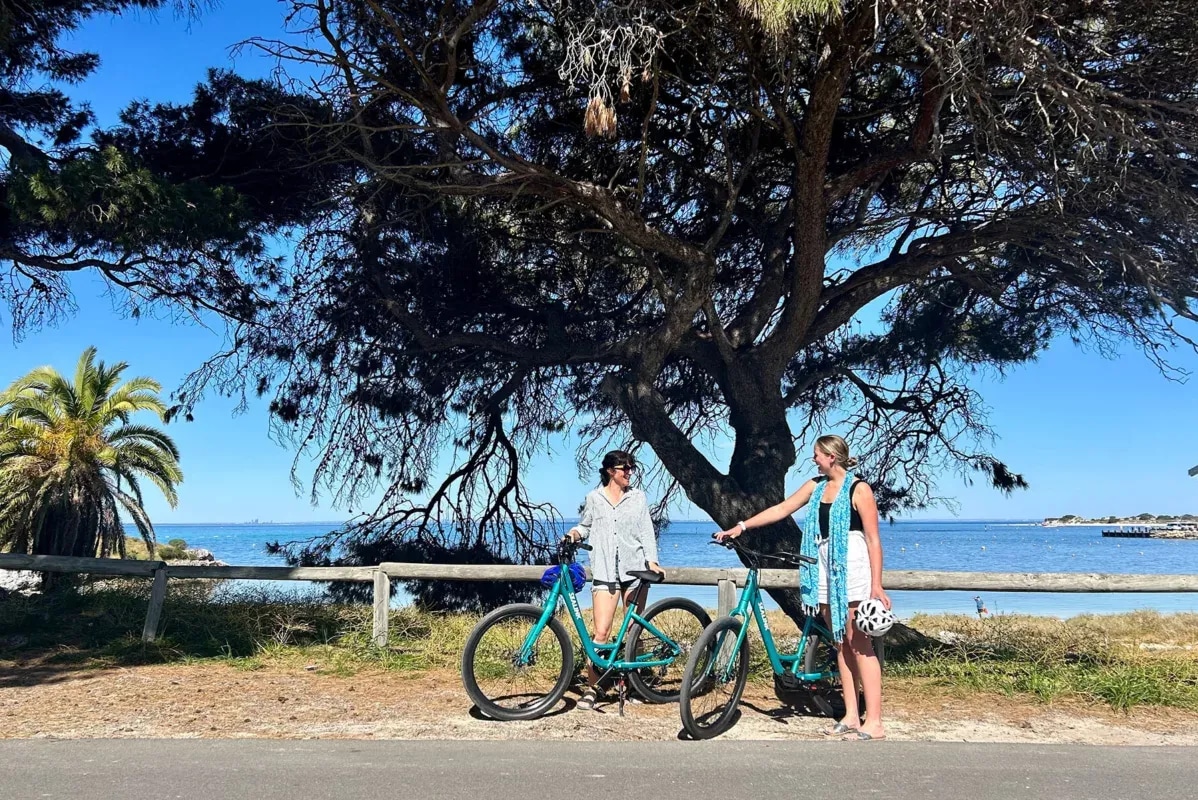 当日往返渡轮 & SeaLink成人自行车租赁