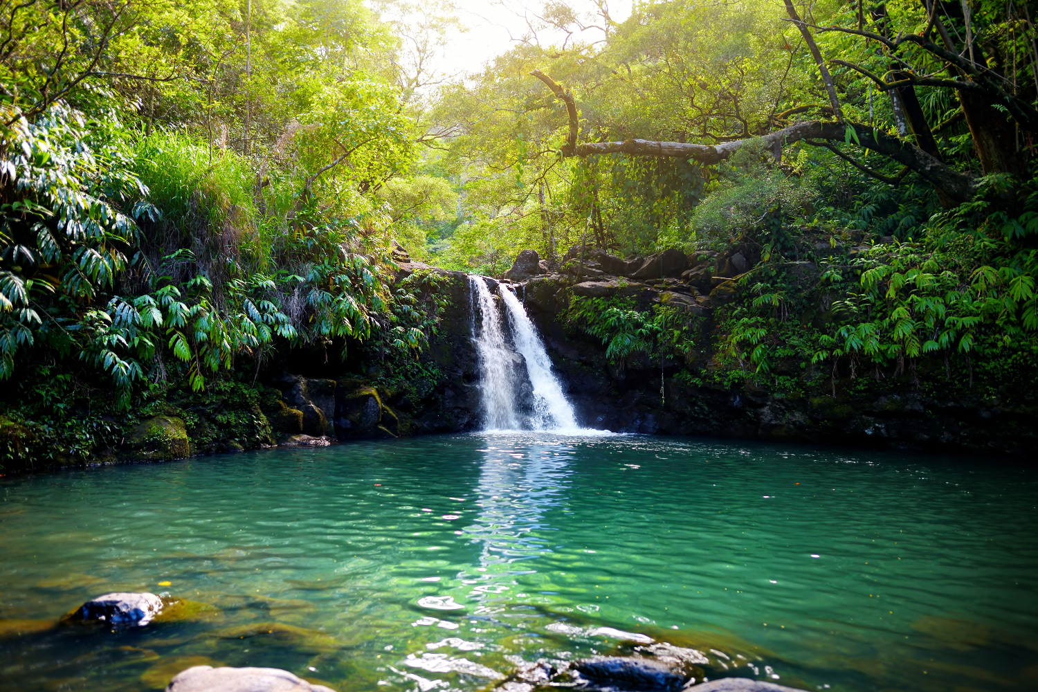 毛伊岛海滩公园自驾语音导览