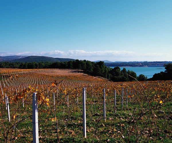 雅典马拉松湖 & 蔻诗塔莱泽瑞地酒庄（Lazaridis Domaine Winery）私人之旅