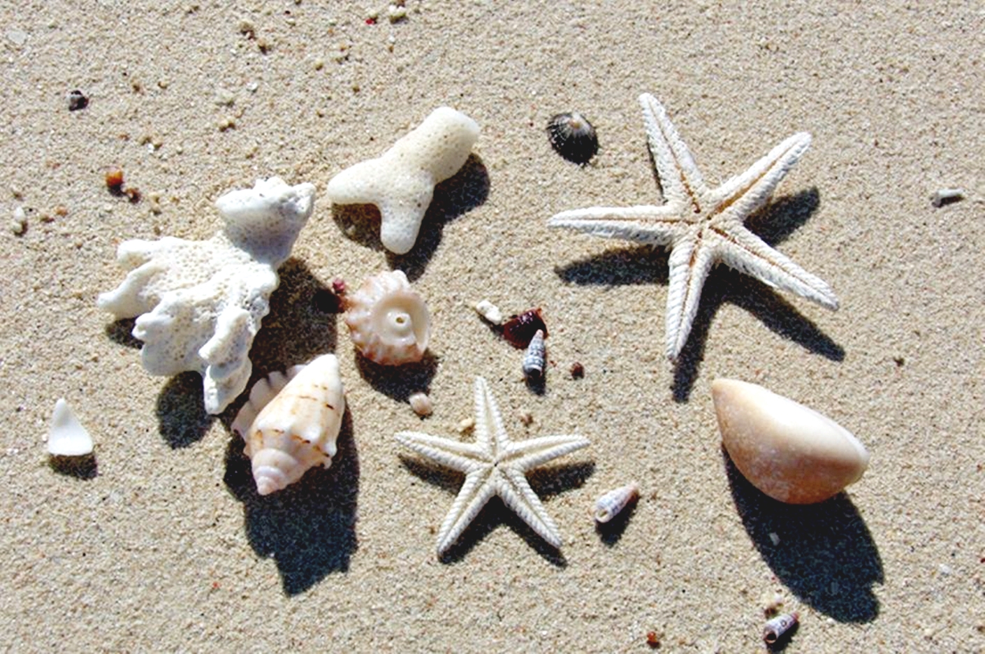 赫尔格达：全日岛屿海上巡游、浮潜和午餐