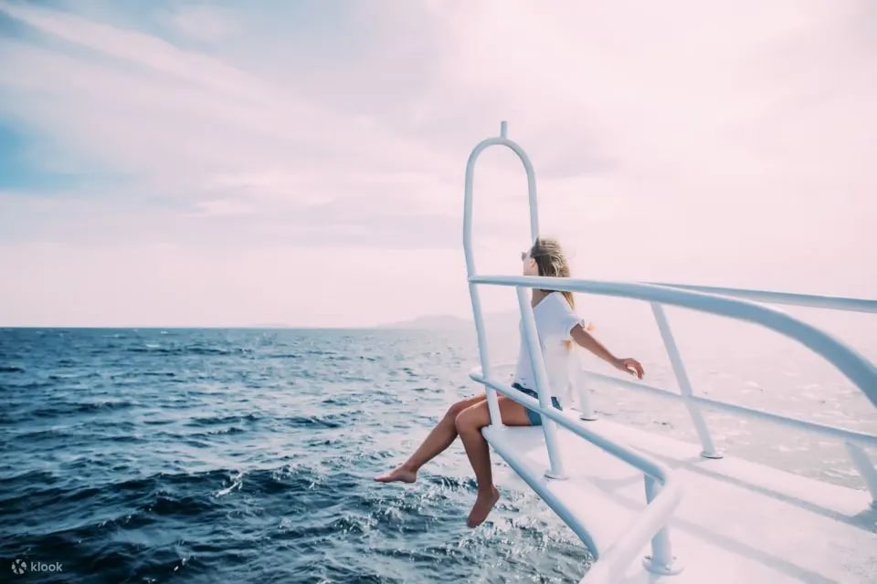 马卡迪湾海豚观赏游船之旅（包午餐 & 饮品）