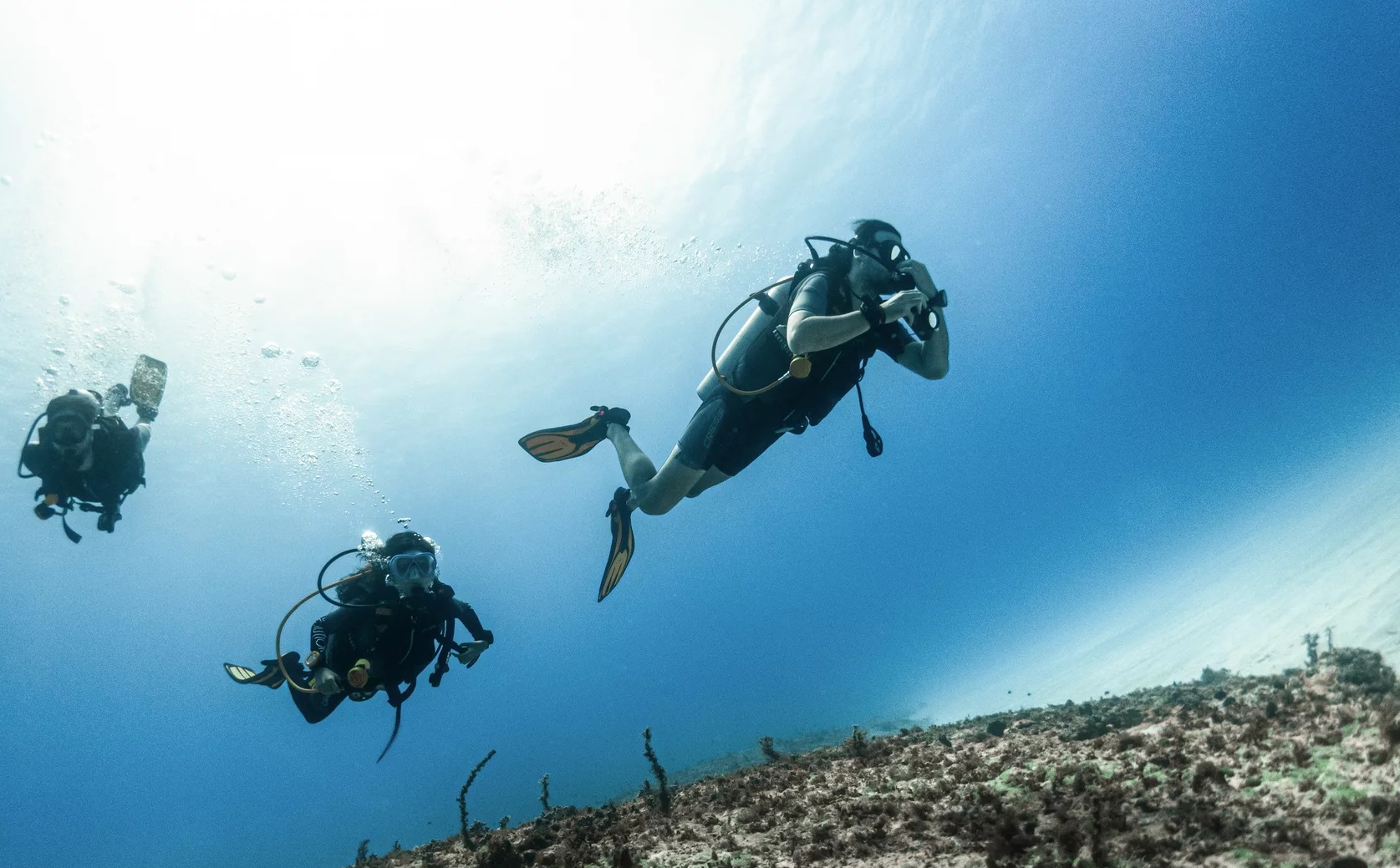 锡亚高岛 PADI 潜水中心开放水域潜水员课程（1对1指导）