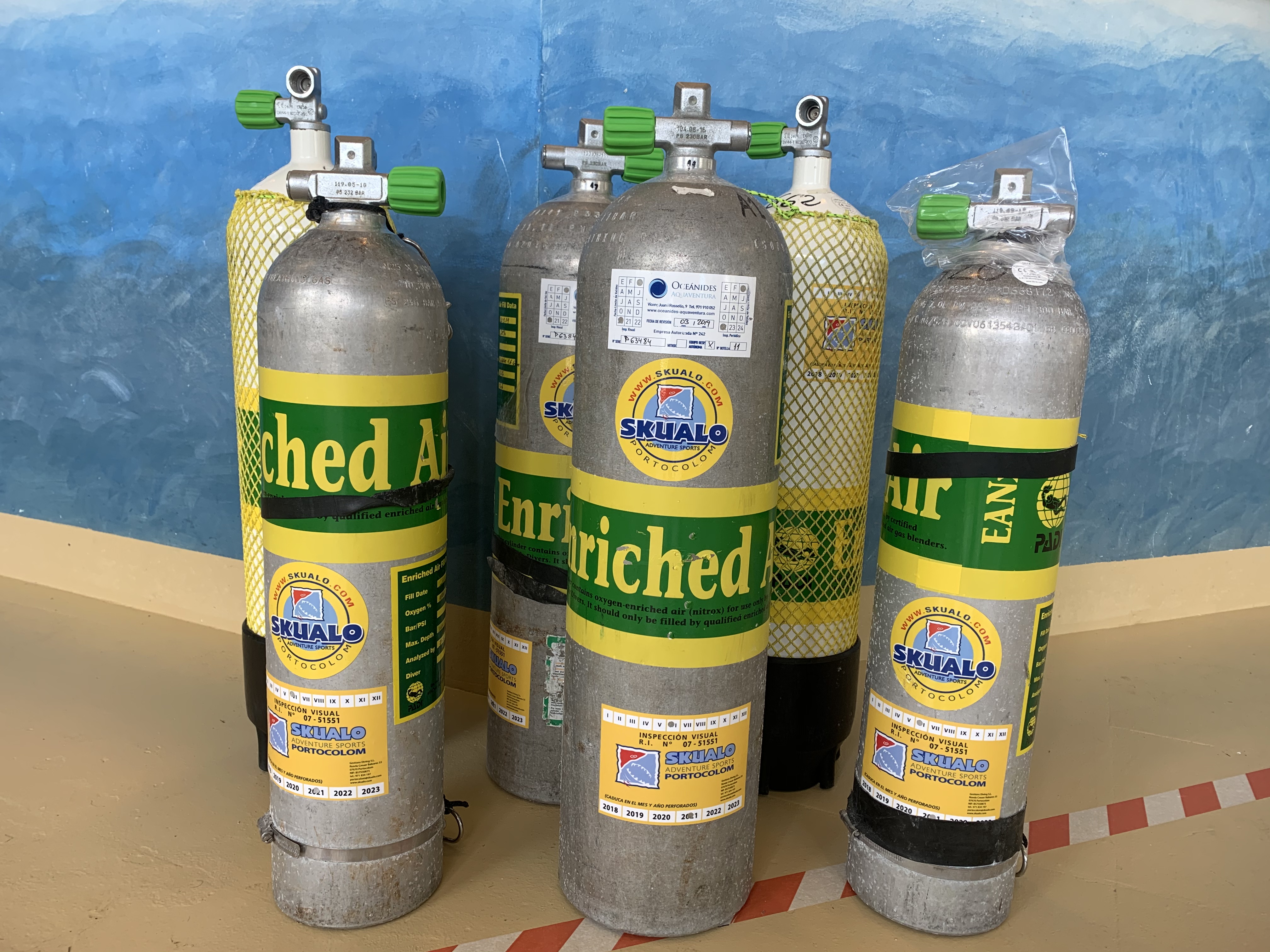 探索新深度：马略卡岛 PADI 5* 中心的高氧课程