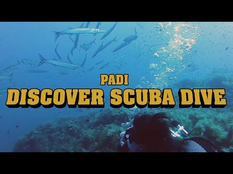 乌斯蒂卡的水下前奏：与 PADI 中心一起探索水肺潜水