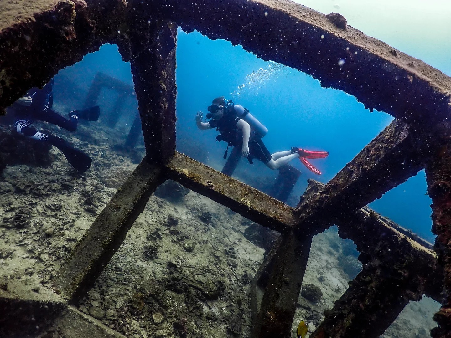 涛岛潜水之旅（PADI五星级潜水中心）