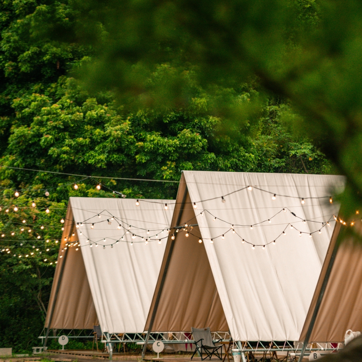 台中豪华露营｜蝉说：山中静静｜一泊二食