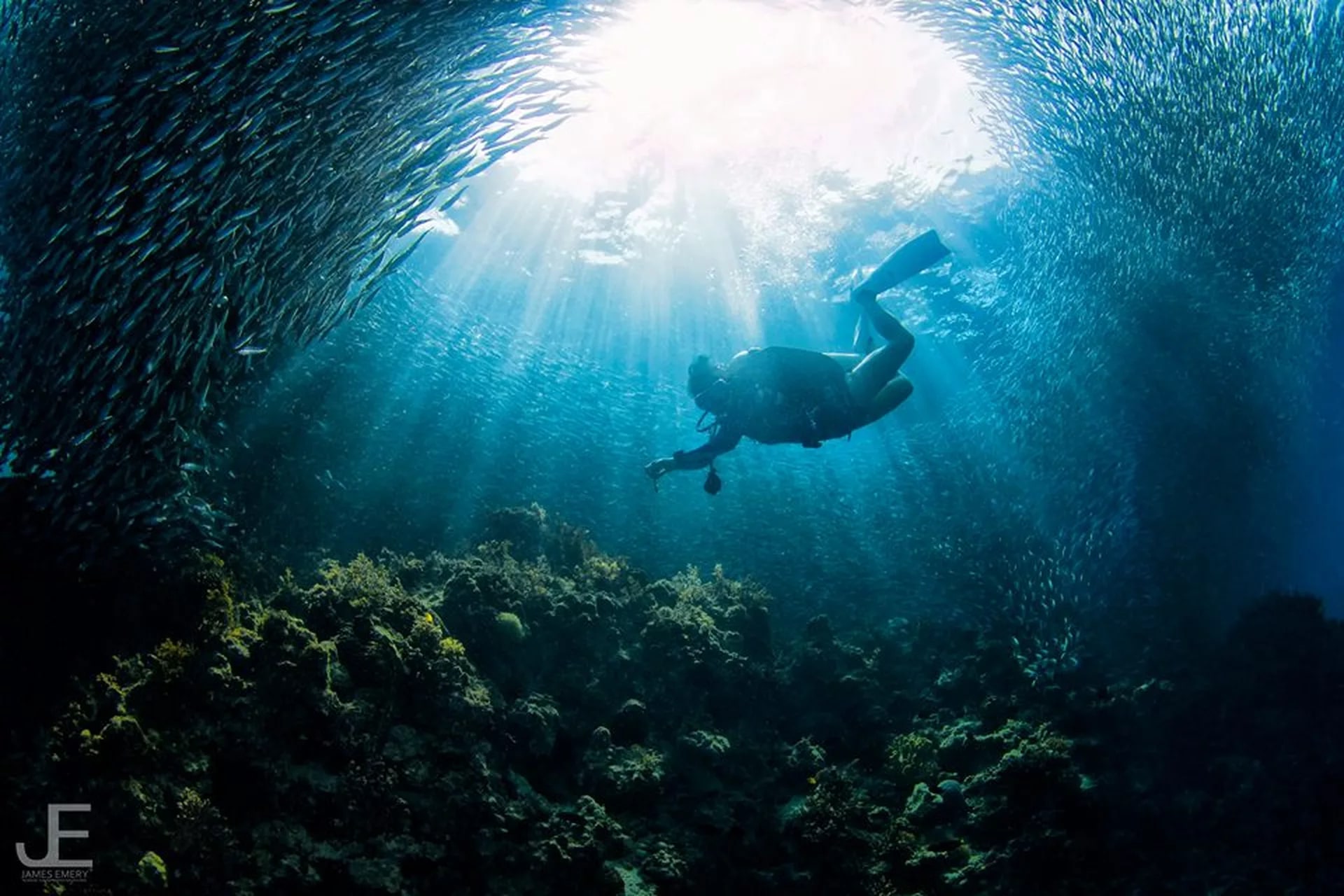 薄荷岛PADI开放水域潜水课程（PADI五星级潜水中心）