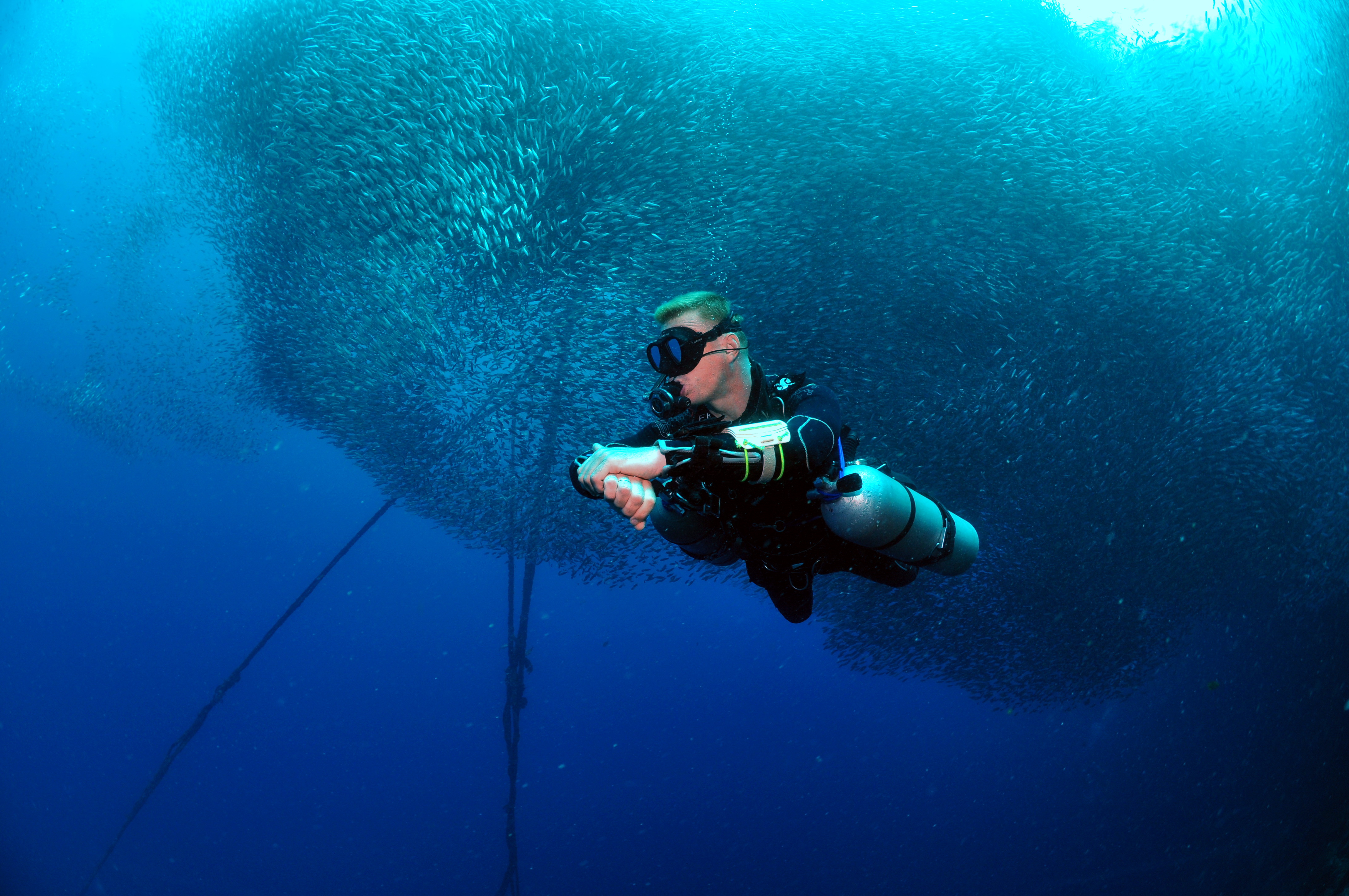 莫阿尔博阿尔（Moalboal）珊瑚礁5次潜水套餐（PADI五星级潜水中心）
