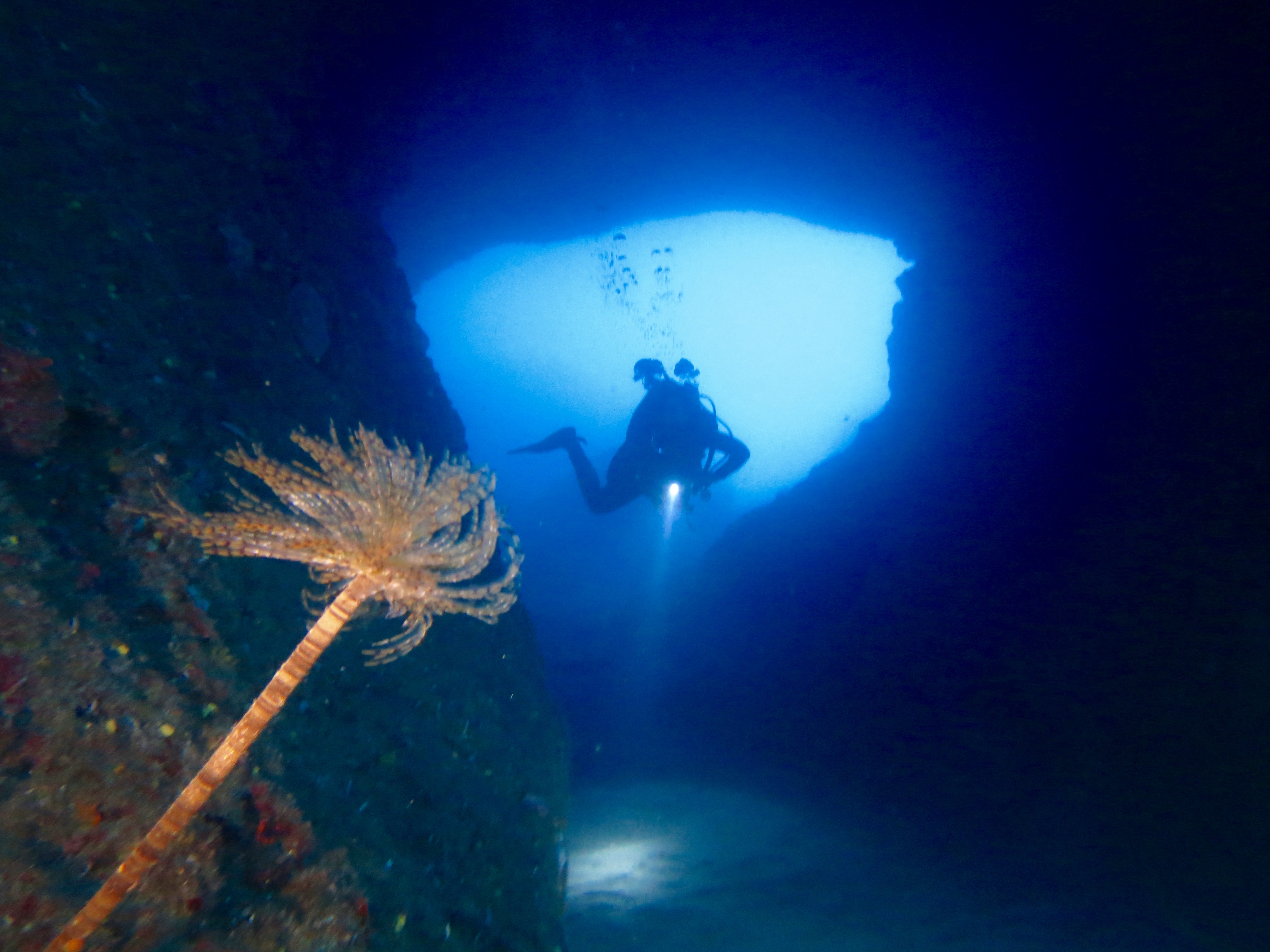 卡拉古诺 (Cala Gonone) 的隐藏宝藏：PADI 中心全日潜水之旅