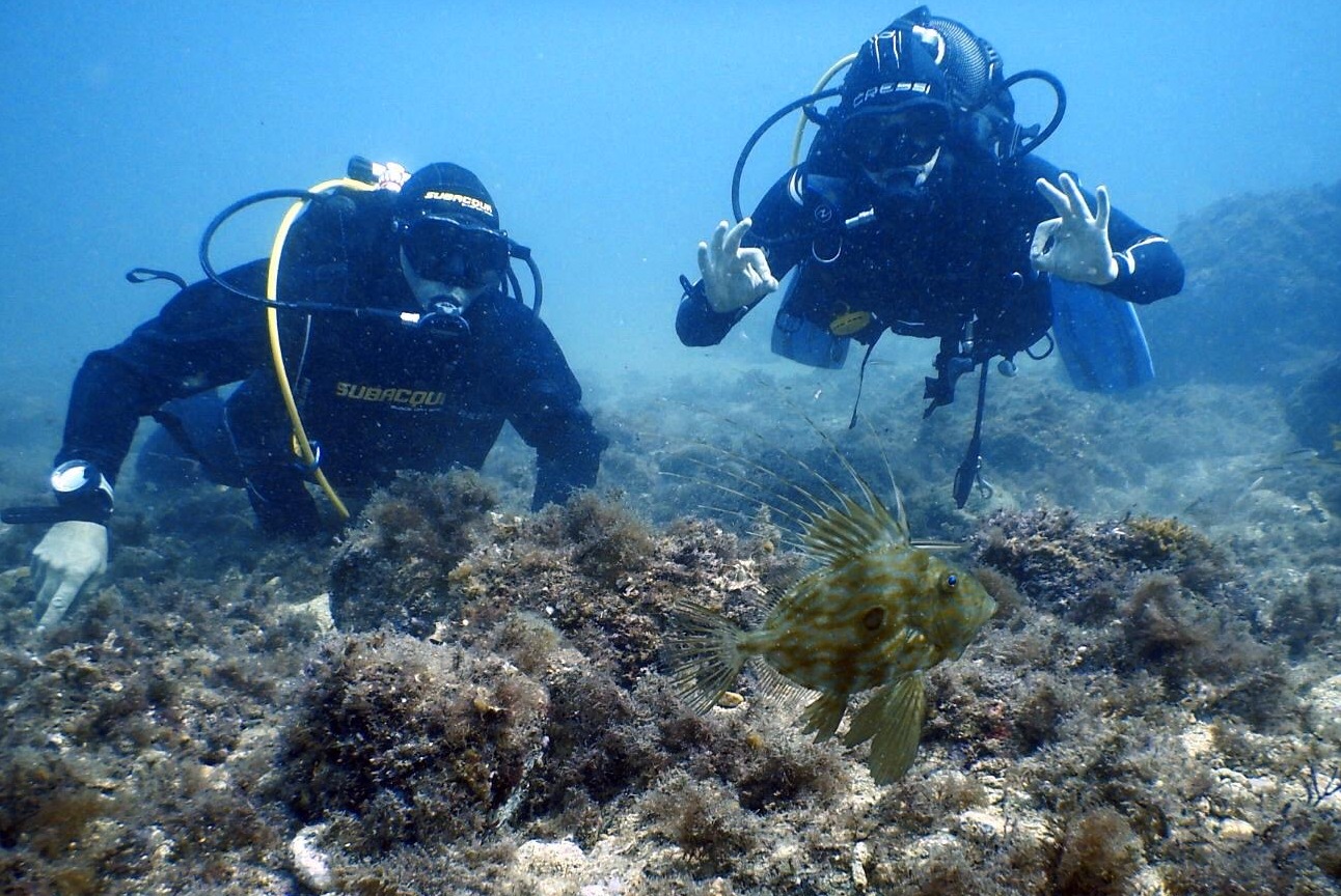 探索托萨德马尔的美丽：PADI半日潜水之旅 5*Center