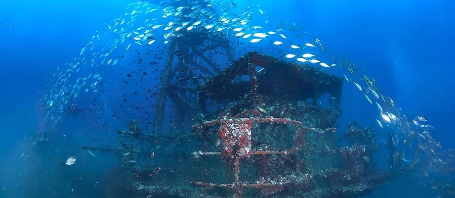 象岛潜水一日游（PADI五星级潜水中心）